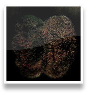 collage image title