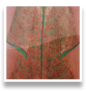 collage image title