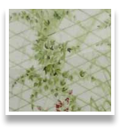 collage image title